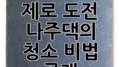 광이리 먼지 제로 도전! ✨ 나주댁의 청소 비법 공개 🧹