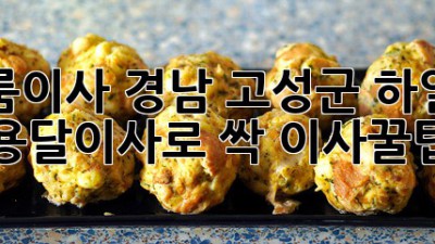 📦 원룸이사, 경남 고성군 하일면 용달이사로 싹! #이사꿀팁