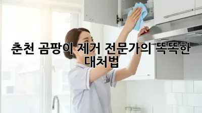 춘천 곰팡이 제거 전문가의 똑똑한 대처법