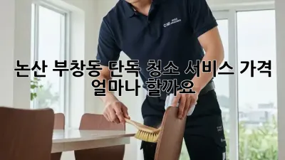 논산 부창동 단독 청소 서비스 가격, 얼마나 할까요?
